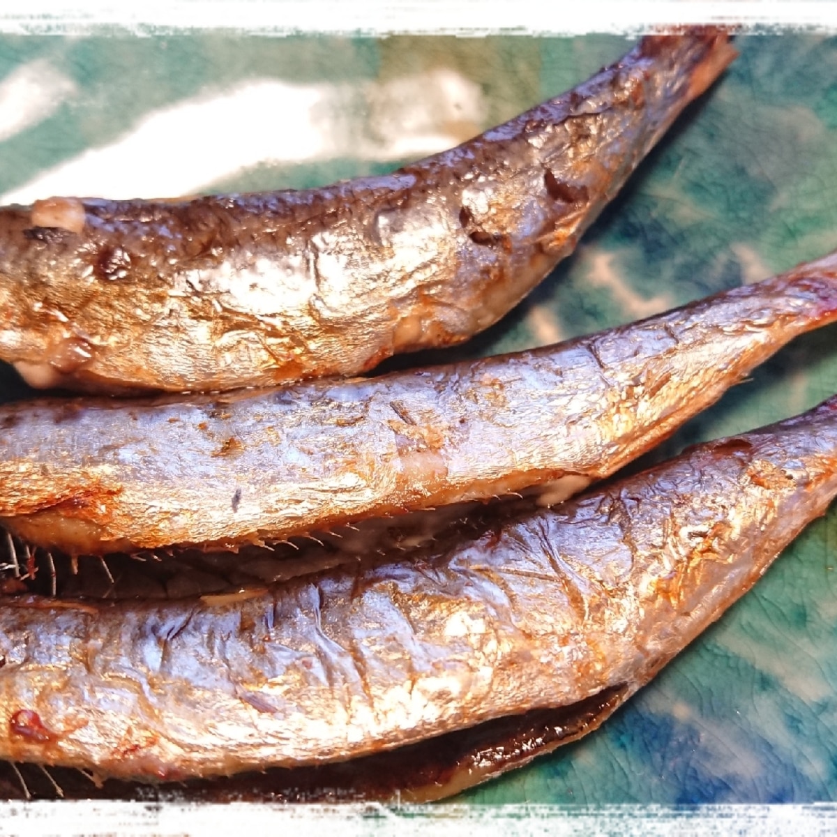 オーブントースターで焼くいわしの塩焼き レシピ 作り方 By ぼーずの母ちゃん 楽天レシピ オーブントースターで焼くいわしの塩焼き レシピ 作り方 By ぼーずの母ちゃん 楽天レシピ